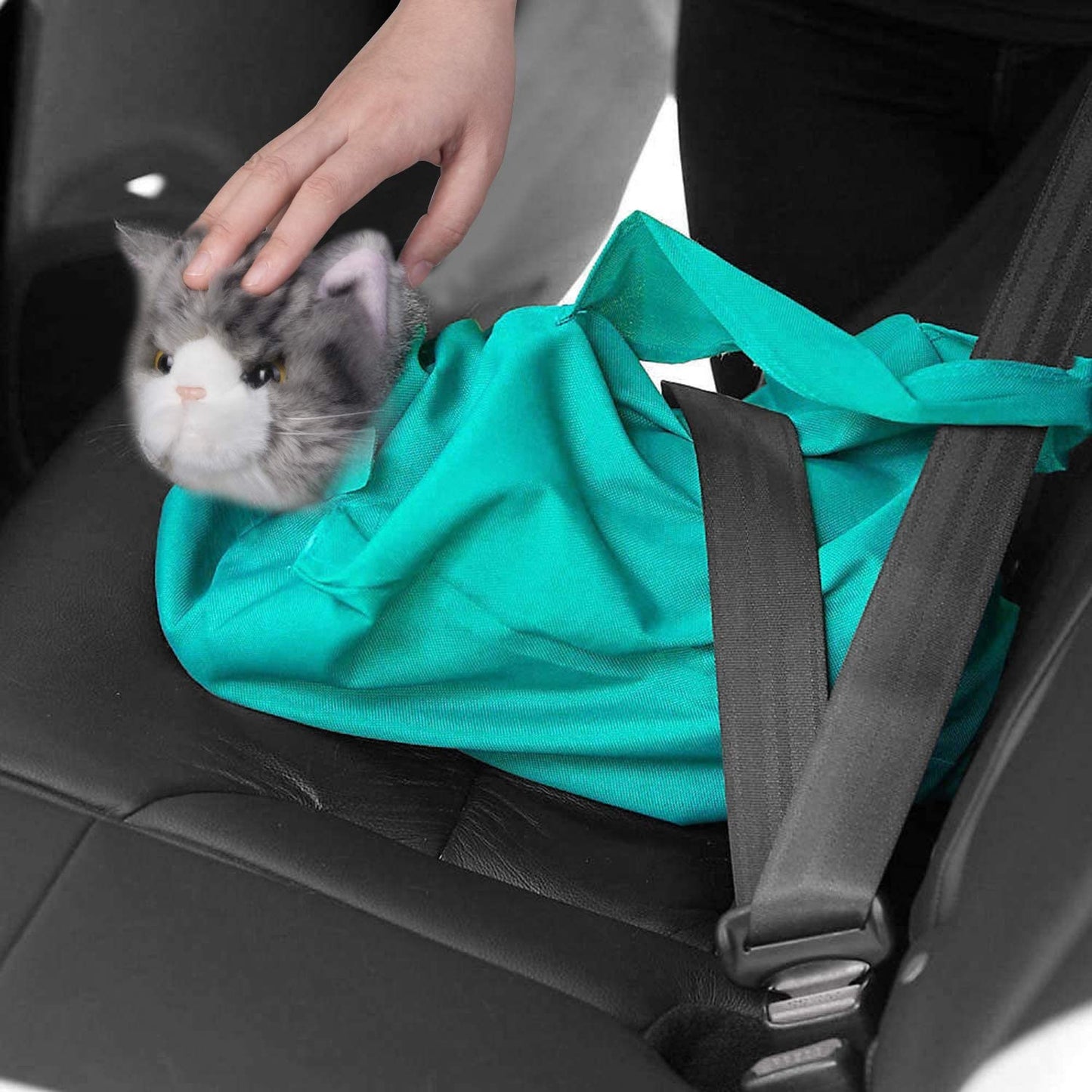 Versatile Pet Carrier Bag for Comfortable Travel