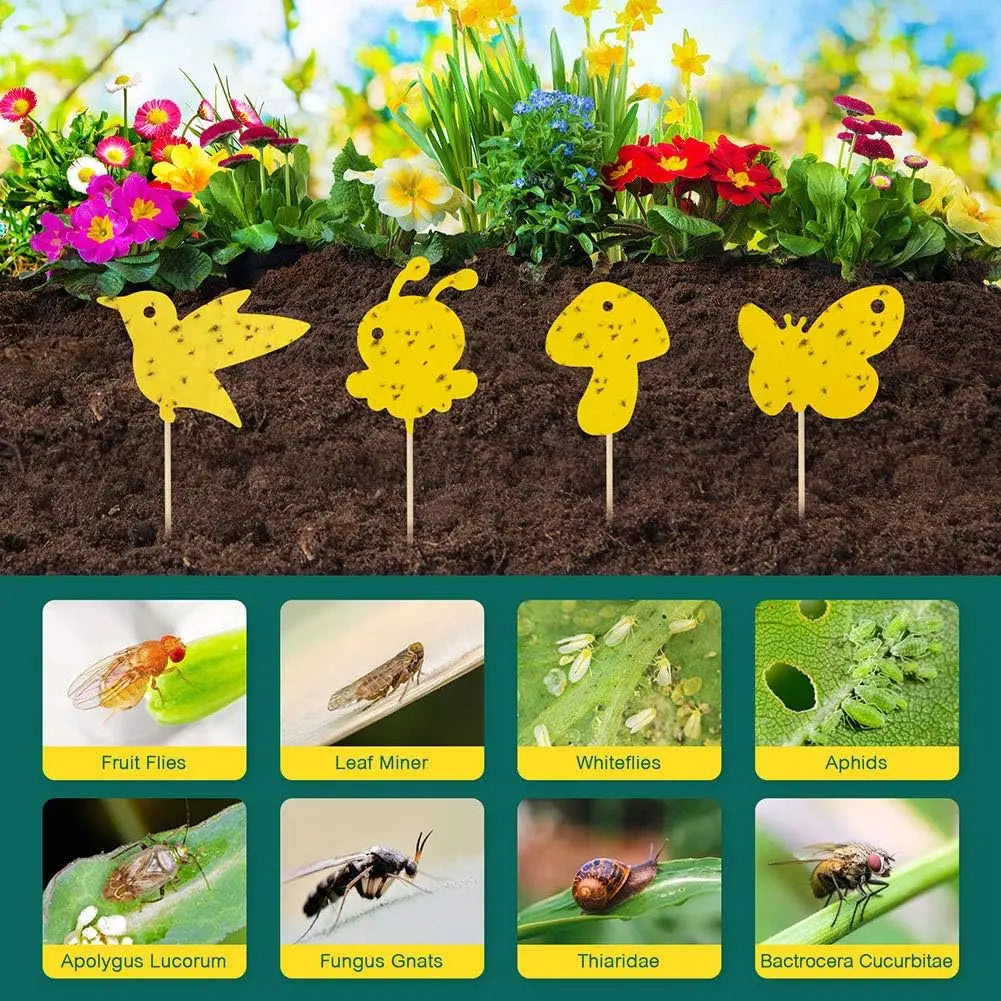 59-Piece Yellow Fly Trap Kit | Double-Sided Adhesive Sheets for Fruit Flies & Insects | Safe for Plants and Non-Toxic