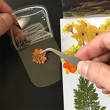 Customizable Clear Bookmark Creation Kit