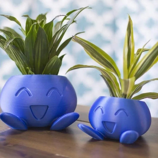Brighten Any Room with Fun and Healthy Plant Display
