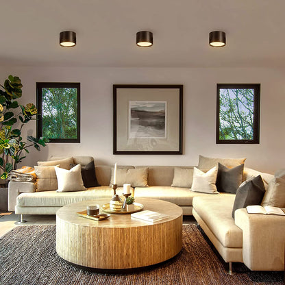 Set Up Instant Lighting in Seconds!
