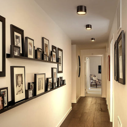 Set Up Instant Lighting in Seconds!