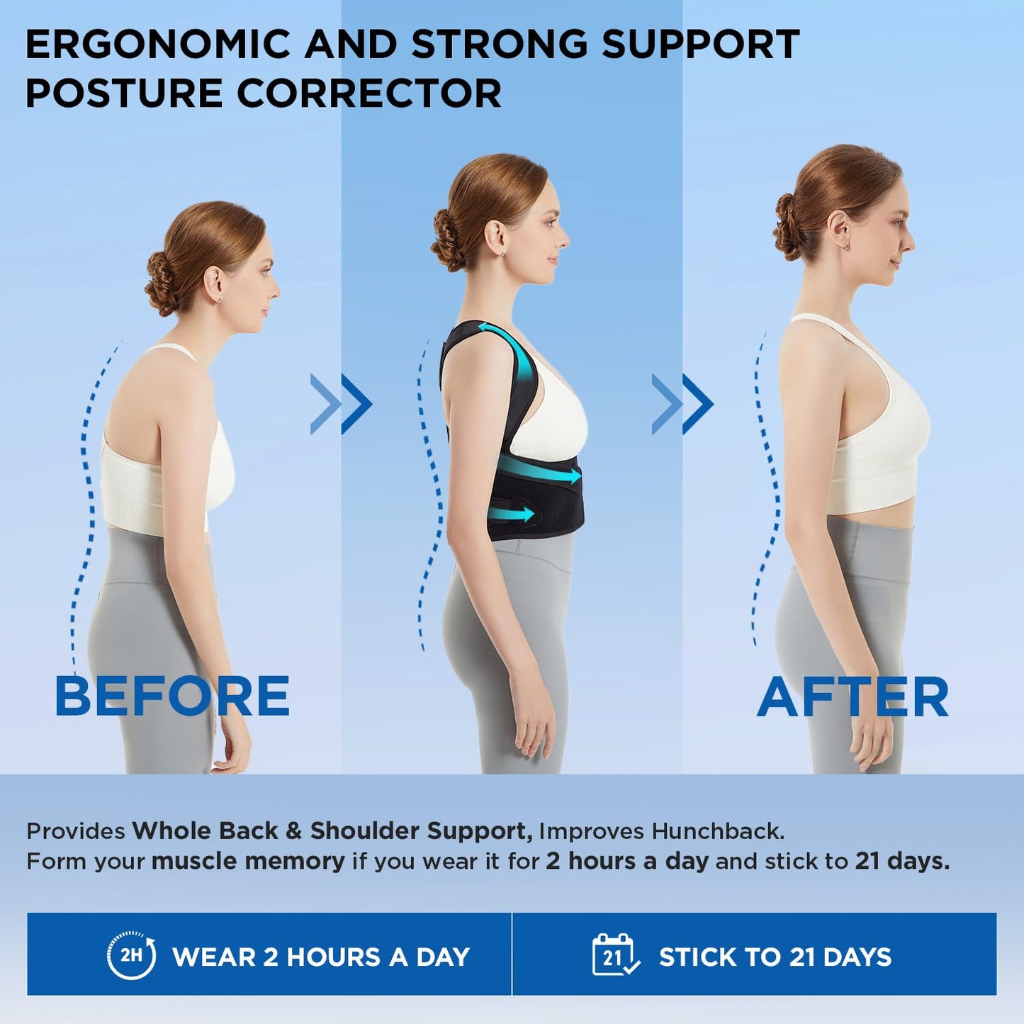 Adjustable Back Support for Relief from Back Pain