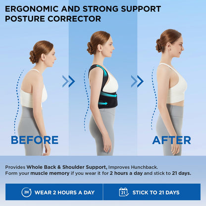 Adjustable Back Support for Relief from Back Pain