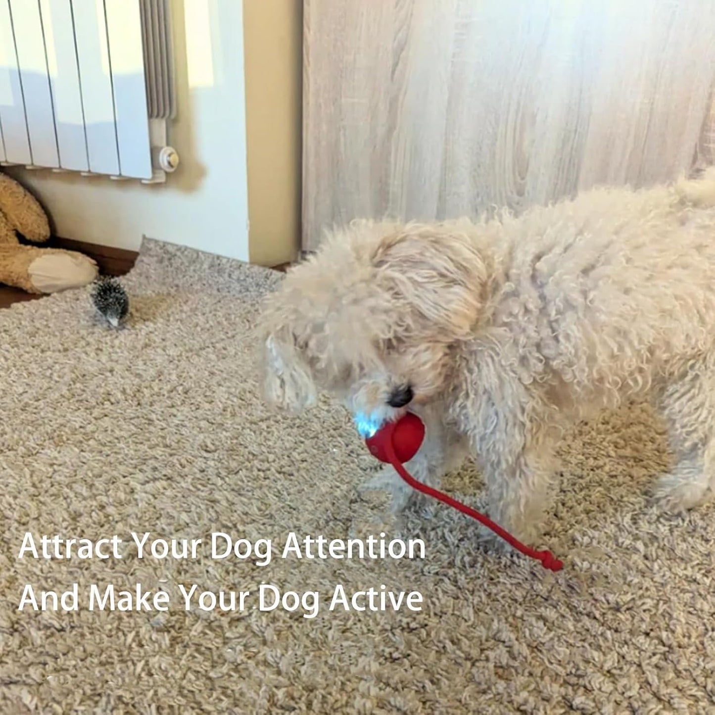 Buy One Get One Free | AutoPaws - Self-Moving Action Toy