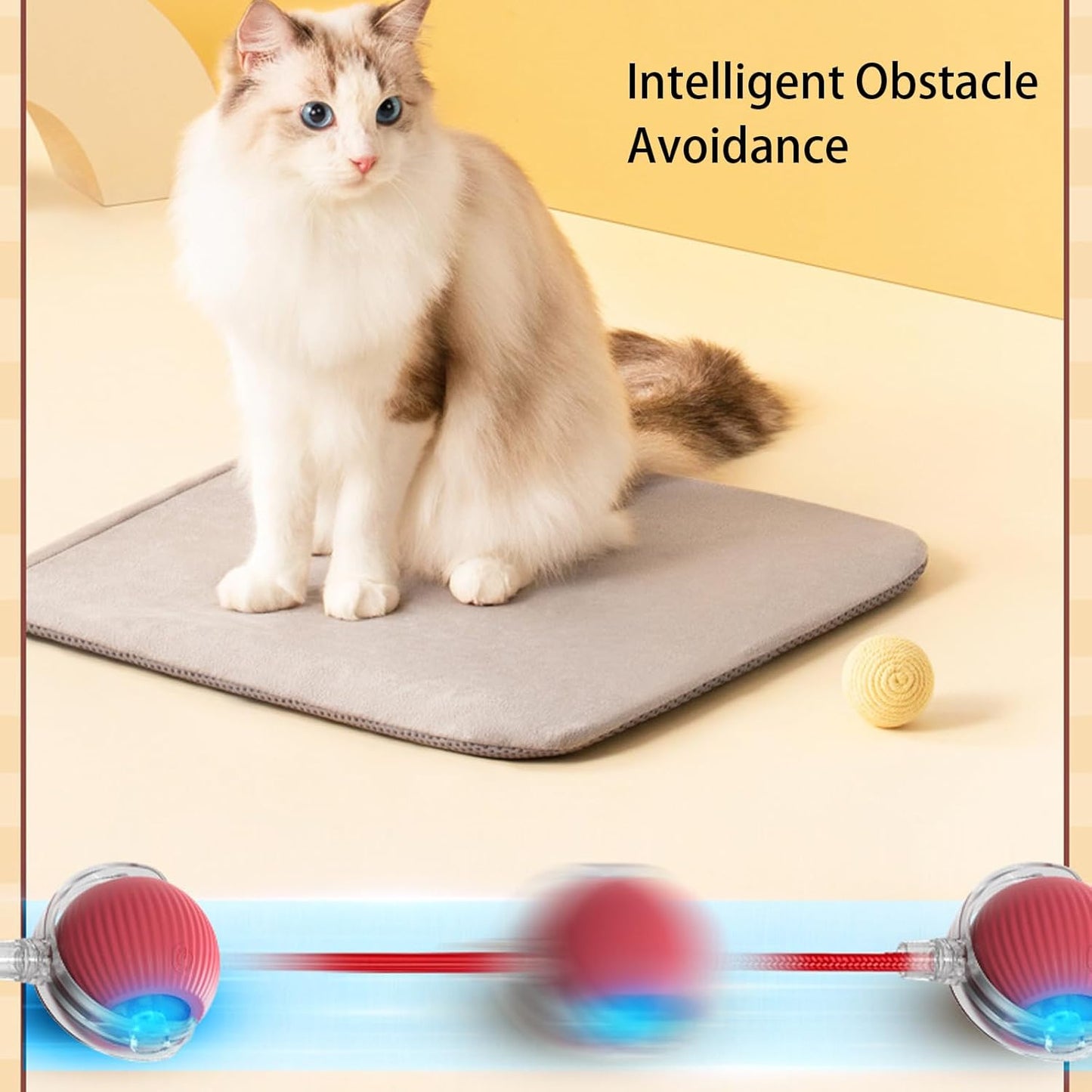 Buy One Get One Free | AutoPaws - Self-Moving Action Toy