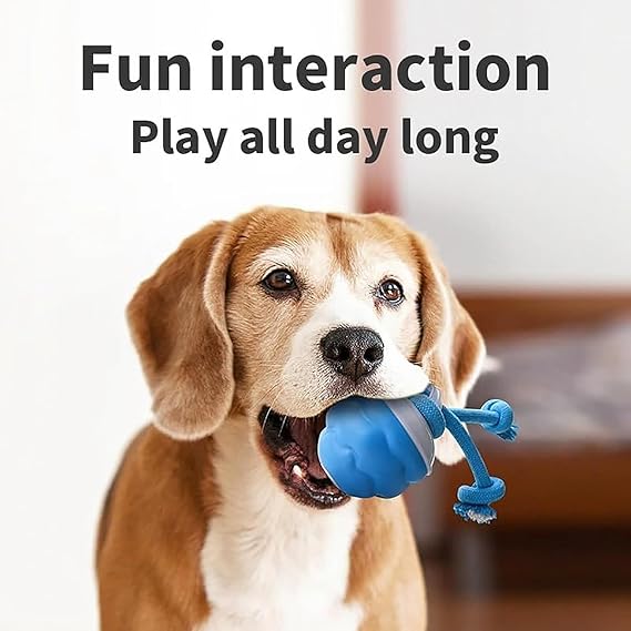 PawPulse – Keeps Dogs Active, Happy, and Out of Trouble