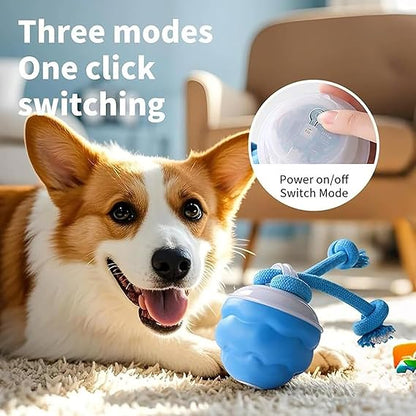 PawPulse – Keeps Dogs Active, Happy, and Out of Trouble