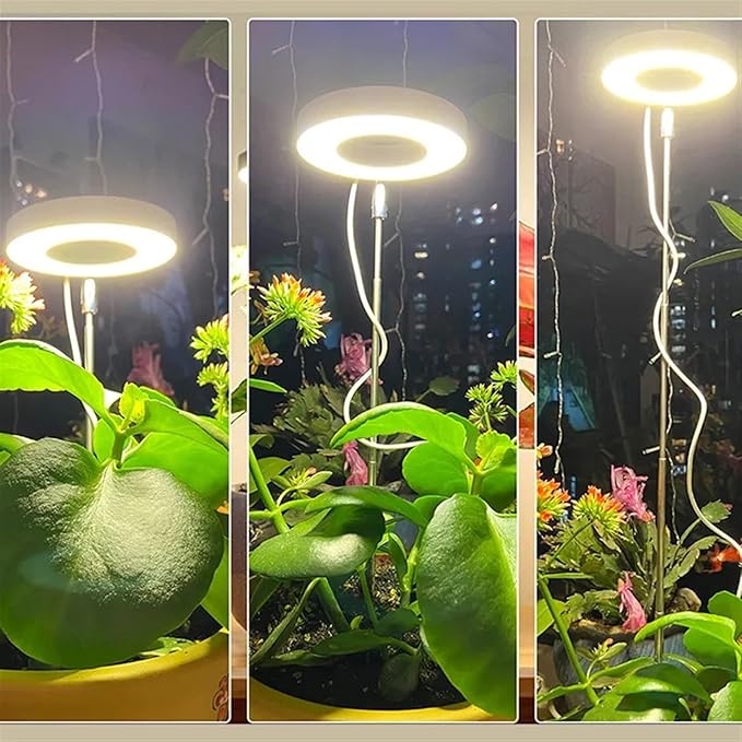 Full Spectrum Light for Promoting Indoor Plant Growth