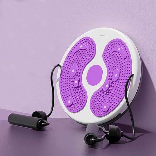 Revolutionary Home Fitness Twister Disk