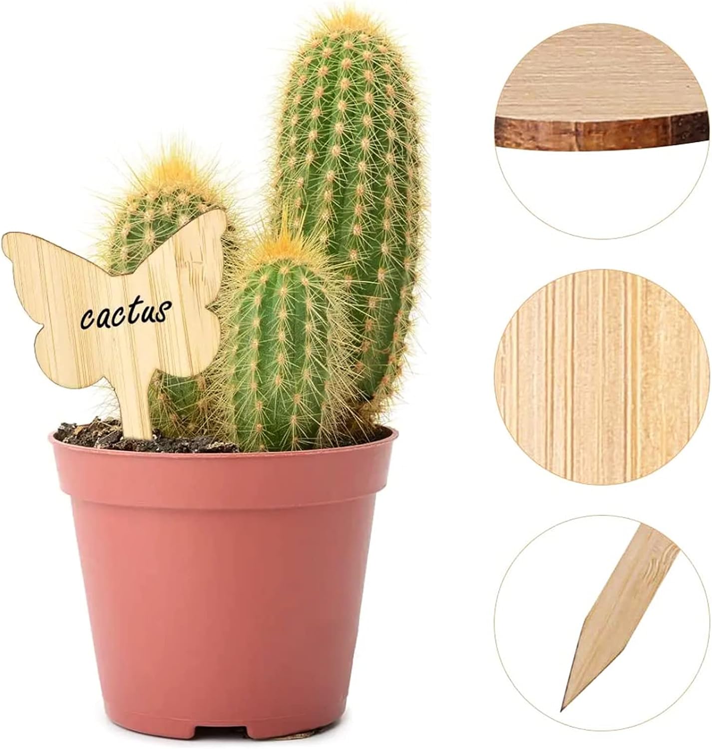 Reusable Wooden Plant Care Labels – Never Forget Your Plants