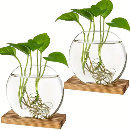 2-Piece Glass Terrarium Set with Wooden Stand | Hydroponic & Cutting Test Tube Vases | Contemporary Home & Office Decor