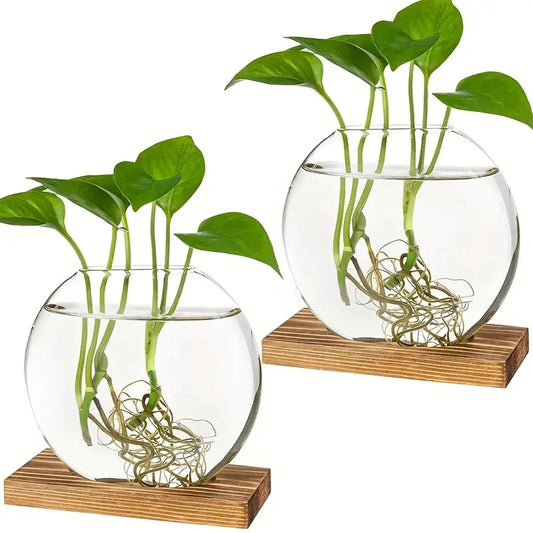 2-Piece Glass Terrarium Set with Wooden Stand | Hydroponic & Cutting Test Tube Vases | Contemporary Home & Office Decor