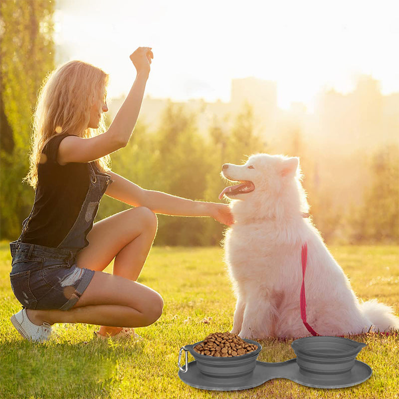 Travel Bowl for Food and Water – Compact Pet Dish