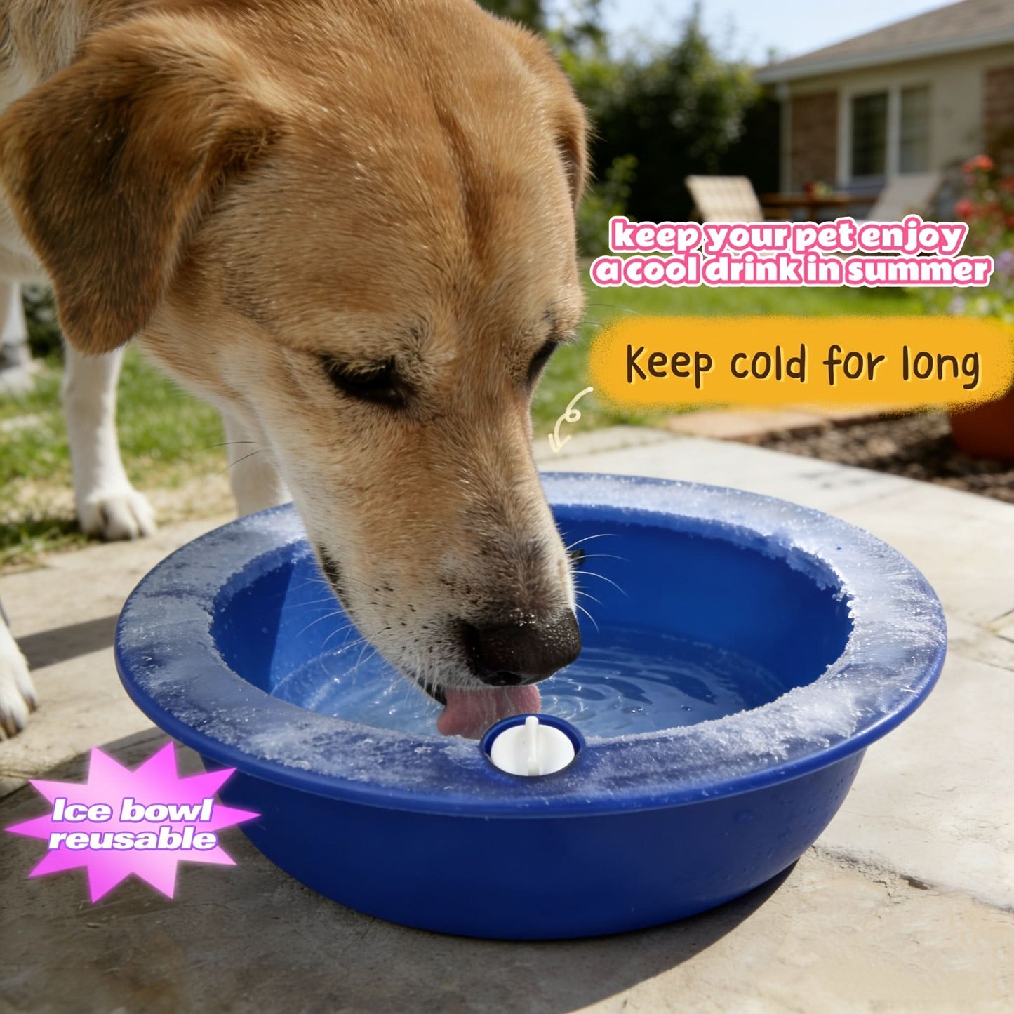 Cooling Pet Bowl for Daily Hydration and Refreshment