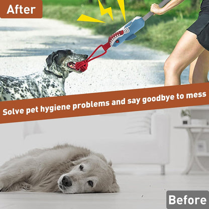 Boost Your Dog's Confidence and Release Energy Quickly