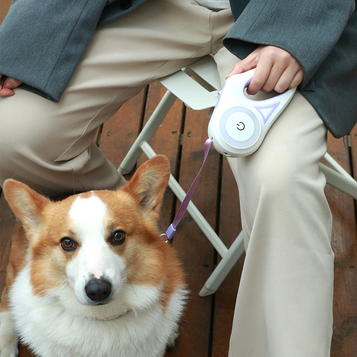 BrightLeash: Illuminated Dog Leash for Night Walks