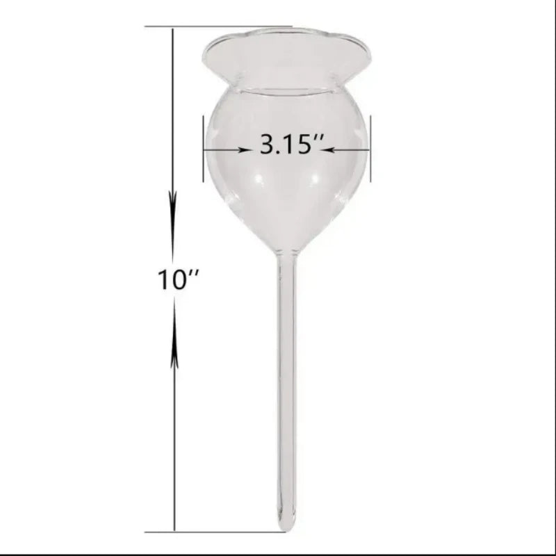 Automatic Self-Watering Plant Globes | Set of 2 Handmade Glass