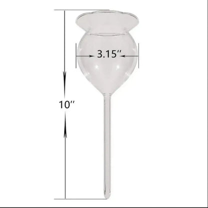Automatic Self-Watering Plant Globes | Set of 2 Handmade Glass