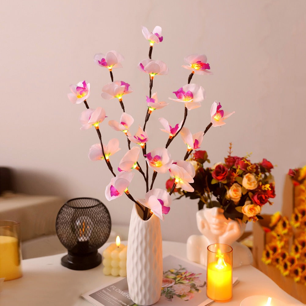 Transform Any Room with Warm, Enchanting Natural Light