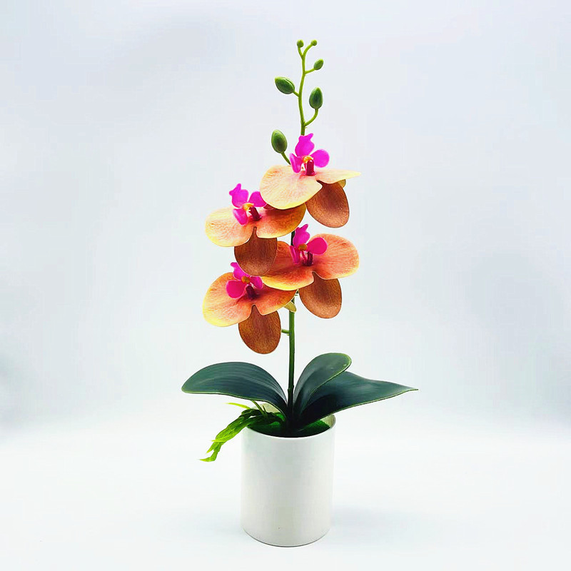 Effortless Elegance with Realistic, Low-Maintenance Orchids