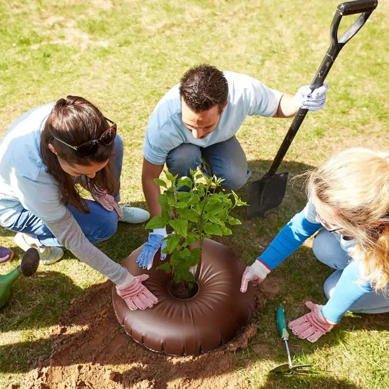Efficient Deep Root Watering for Healthy Trees