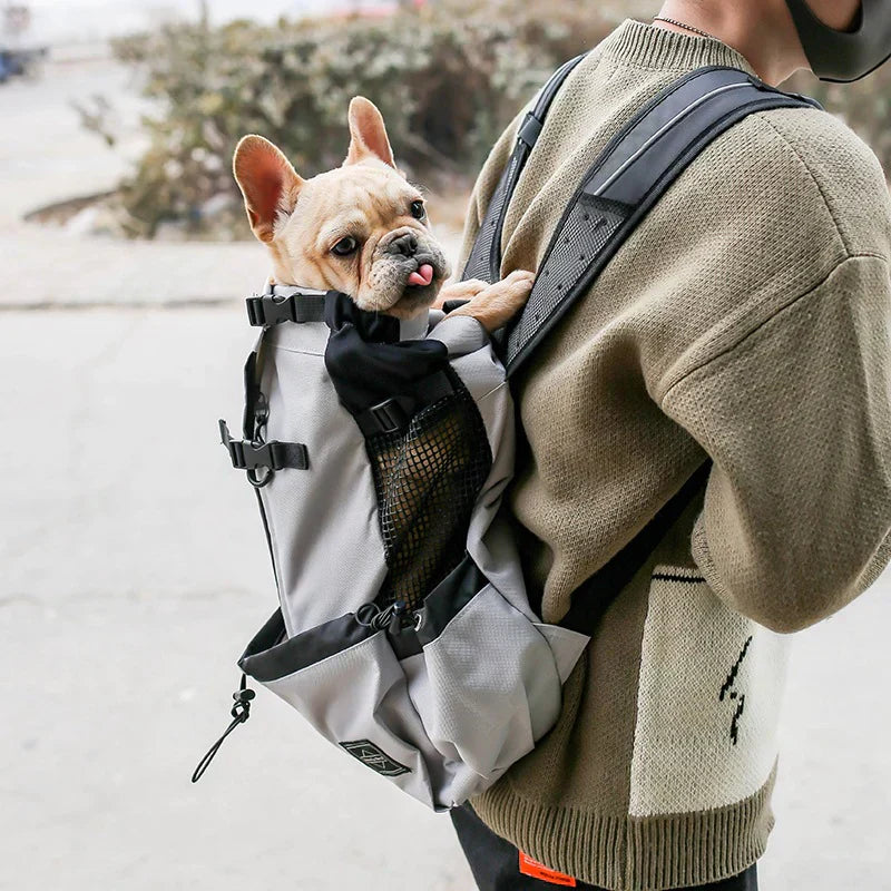 Medium Dog Backpack – Comfortable Carry Bag with Safety Strap & Storage Pockets