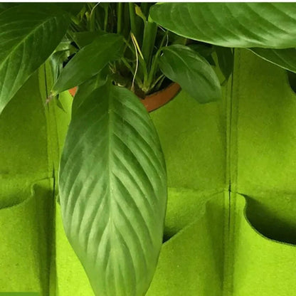 Vertical Plant Pocket for Wall Mounting | Green/Black | 2–12 Compartments