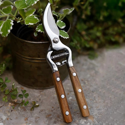 Buy One, Get One Free | HerbiCut - Effortless Clean Cuts for Healthy Plants