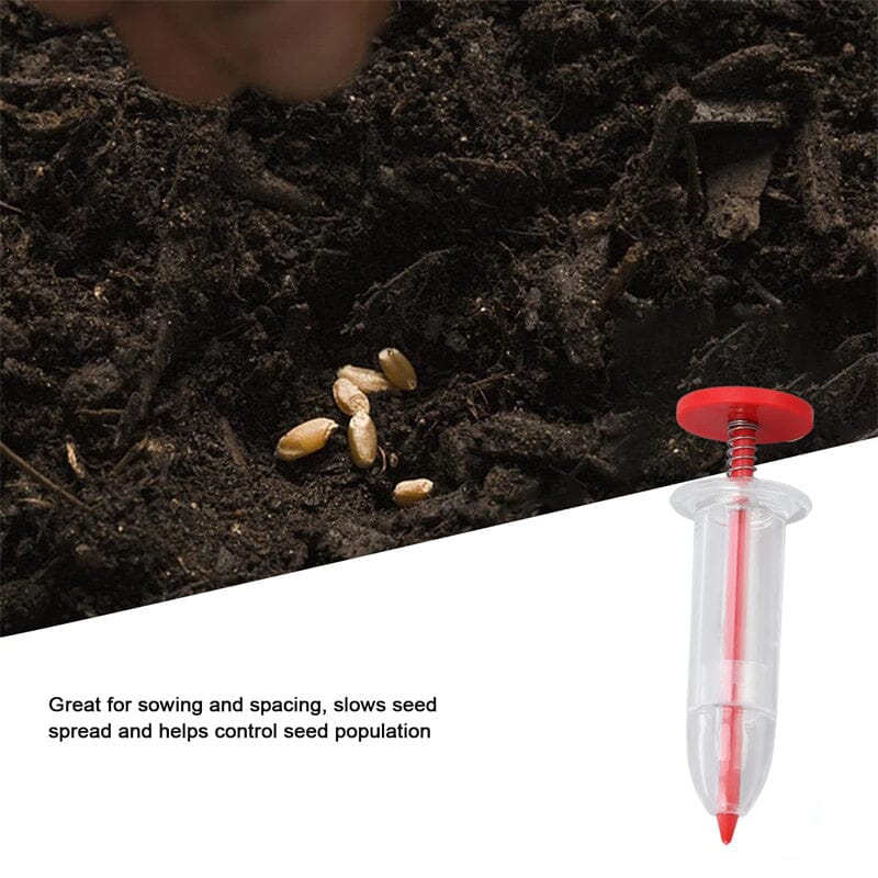 Buy One, Get One Free | Easy Plant Care Made Simple