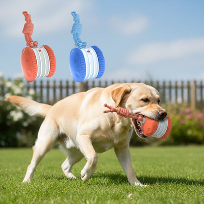 Keep Dogs Active, Engaged, and Happy All Day Long