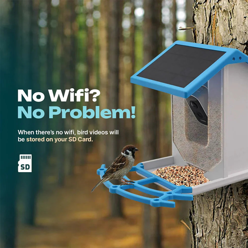 Smart Bird Feeder – Experience Nature Like Never Before