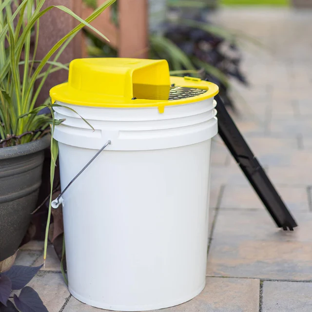 Humane Mouse Trap with Reusable Bucket Design