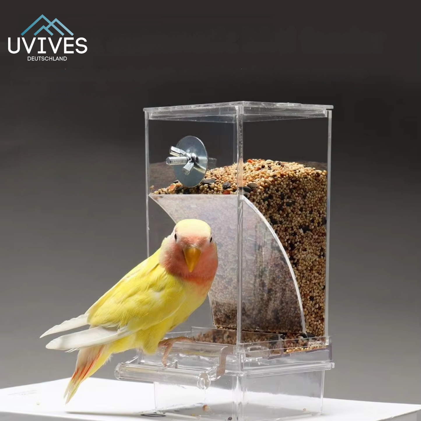 Bird Feeder – Clean Feeding, Happy Birds, Reduced Effort