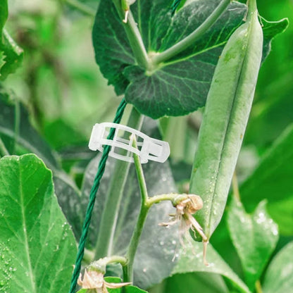 Support Clips for Thriving Plants