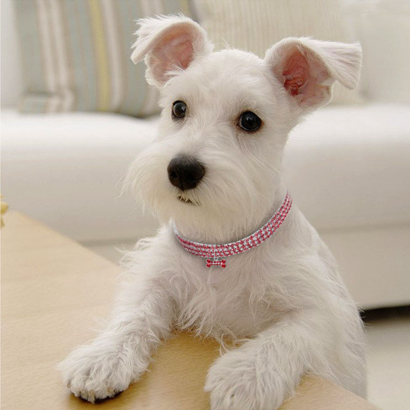 Charming Crystal Dog Collar for Pets
