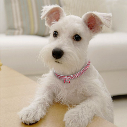 Charming Crystal Dog Collar for Pets