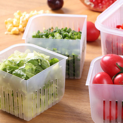 Versatile 4-Compartment Food Storage Container