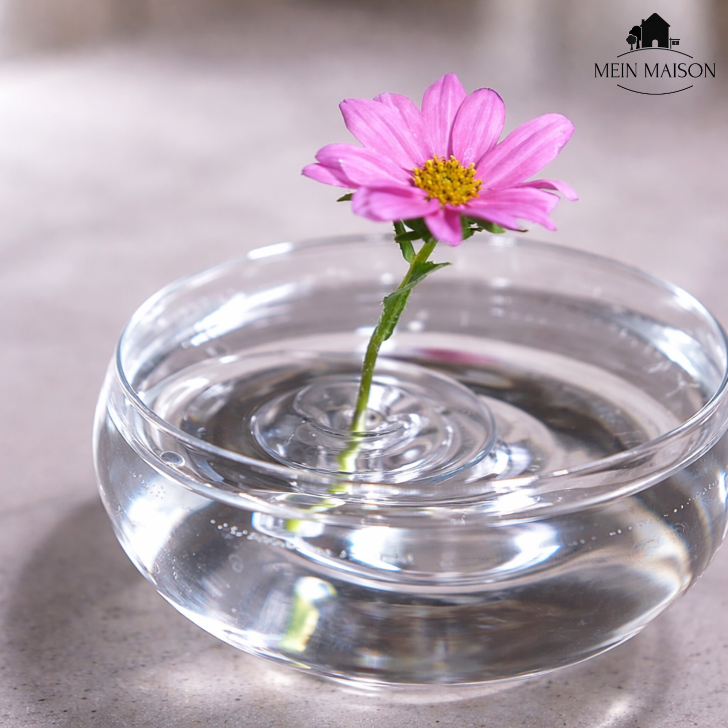 5+5 FREE | BloomRise – Keeps Flowers Upright and Impressive