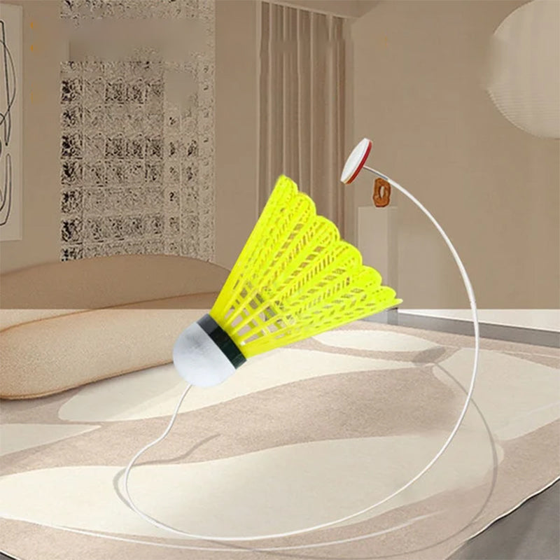 Rebound Badminton Trainer for Solo Practice