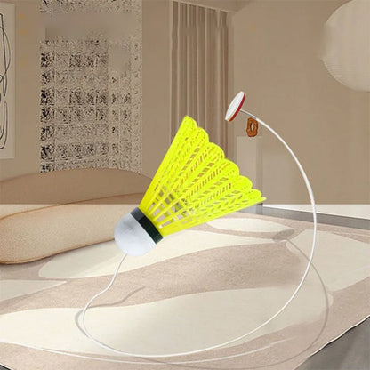 Rebound Badminton Trainer for Solo Practice
