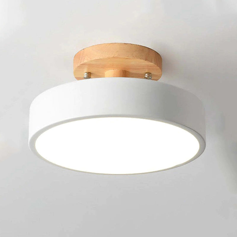 Contemporary LED Ceiling Light Fixture