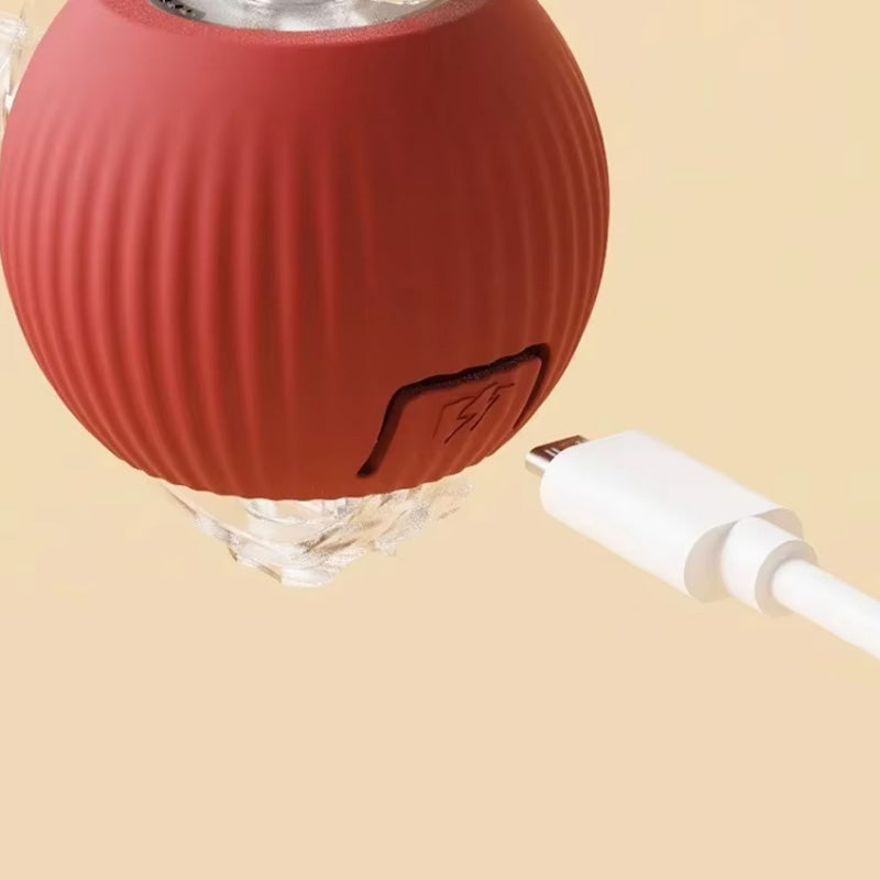 Interactive Ball for Indoor Cats