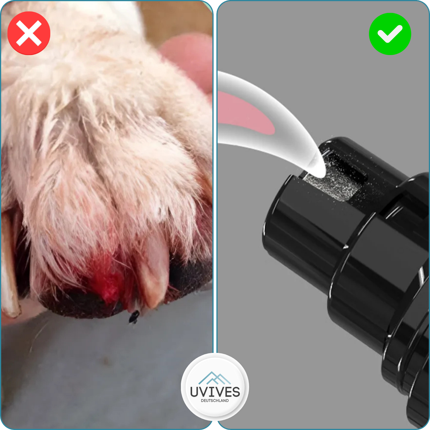 Gentle and Safe Nail Care for Your Dog