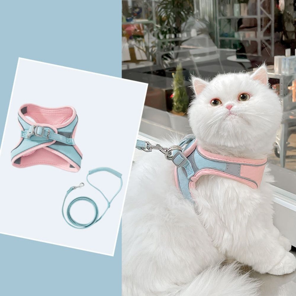 ExploreSafe Cat Harness and Leash Set