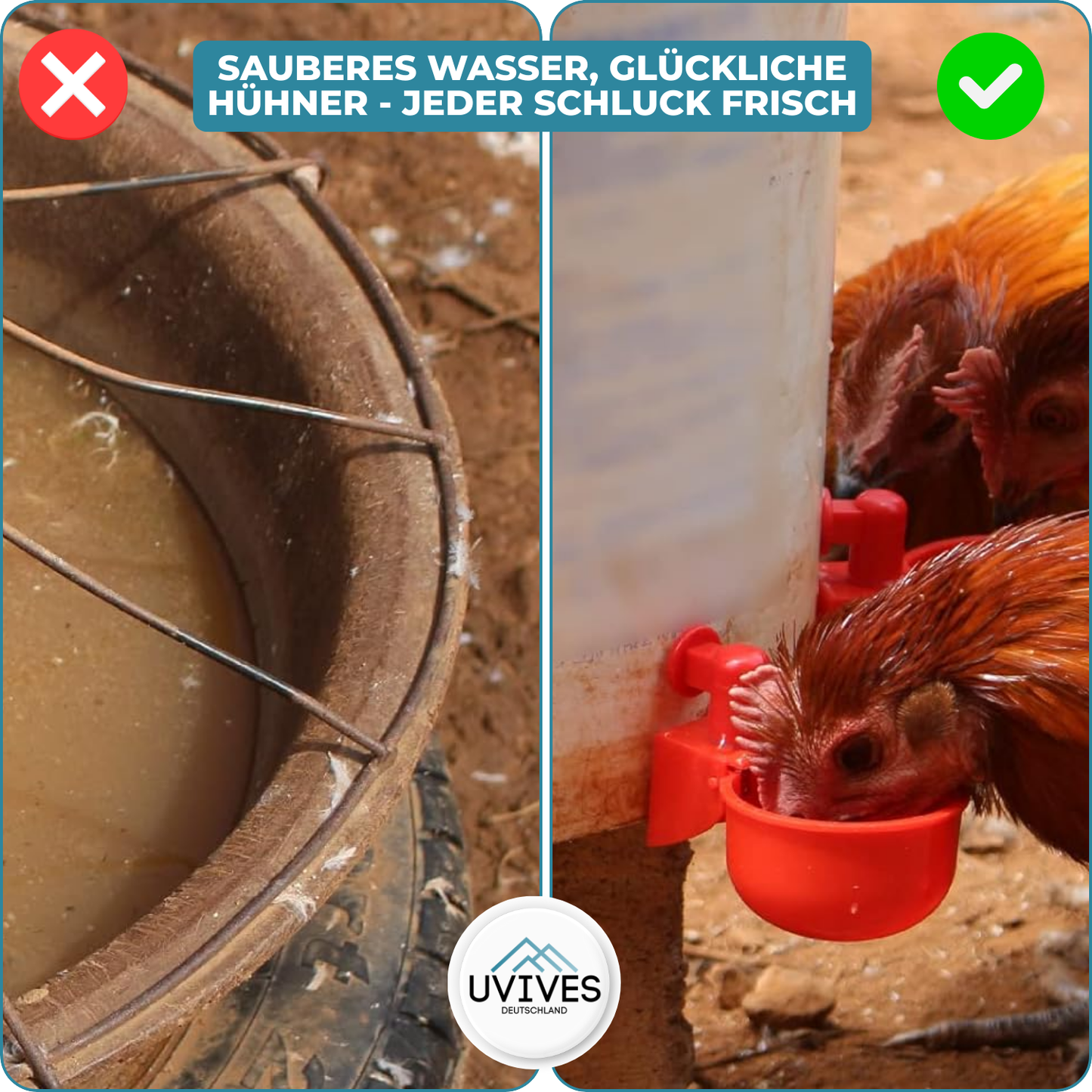 3 for 3 FREE | AquaNest – Clean Water for Happy Pets