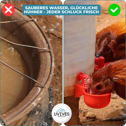3 for 3 FREE | AquaNest – Clean Water for Happy Pets