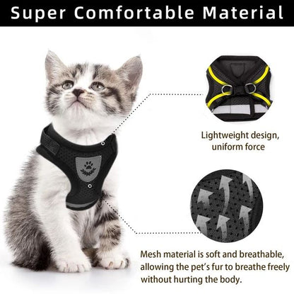 Adjustable, Breathable, Light-Up Cat Harness