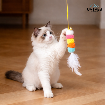 Buy One Get One Free | Ignite Your Cat's Energy and End Boredom Now