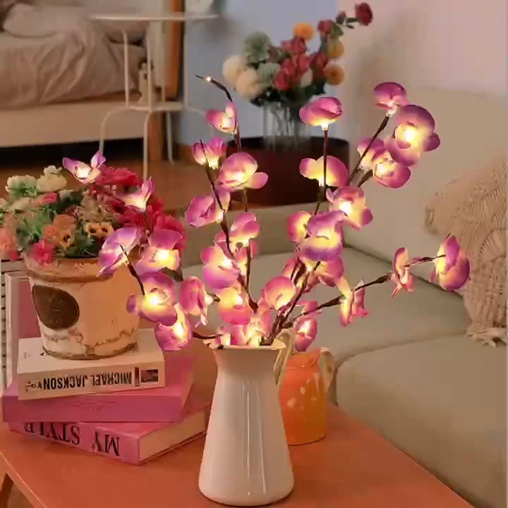 Transform Any Room with Warm, Enchanting Natural Light